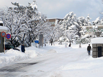新潟大学正門（大雪）