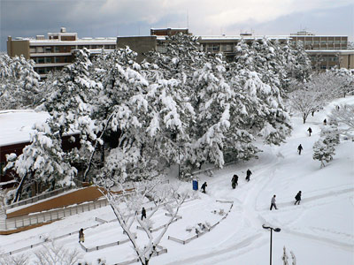 大雪のキャンパス