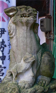 浅野川稲荷神社狛犬（阿像）