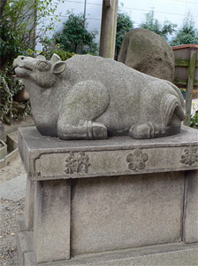 安居神社の牛