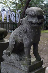 鎌倉市西御門の白旗神社狛犬（吽形）