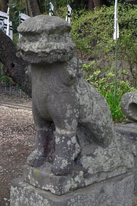 鎌倉市西御門の白旗神社狛犬（阿形）