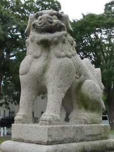 岩瀬白山町諏訪神社境内の狛犬（阿形）