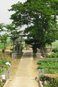 新潟市笠木の住吉神社