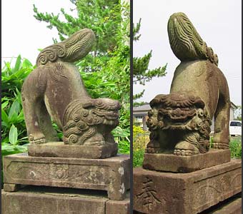 亀貝の諏訪神社・狛犬