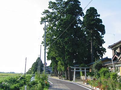 村上市小岩内の荒川神社