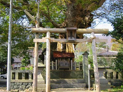弥彦村の住吉神社