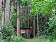 平沢の諏訪神社
