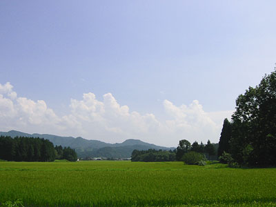 山津見神社からの眺望