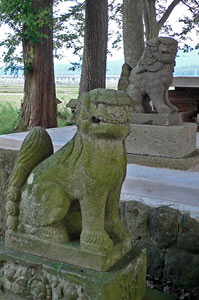 十日町の白山神社狛犬