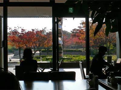 新潟市美術館の喫茶室
