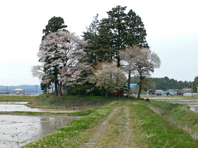村松町大口の諏訪神社遠景