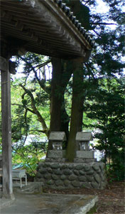 新谷の熊野神社