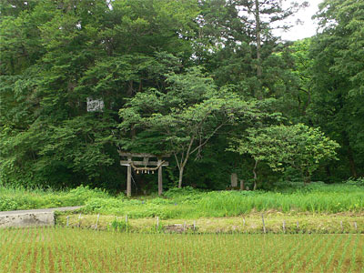 旧栃尾市楡原の仁禮原神社遠景
