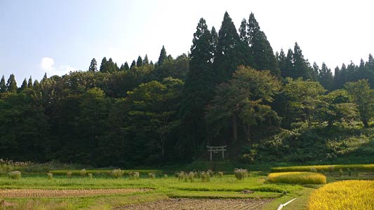 田沢の熊野神社遠景
