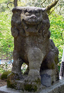 石曾根の松尾神社狛犬（阿像）