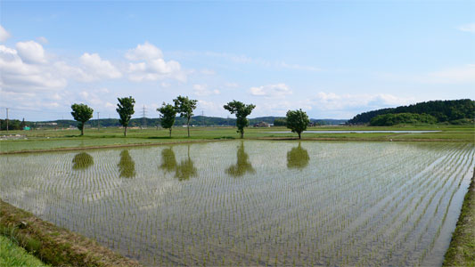 寺泊戸崎の諏訪神社周囲の田園風景