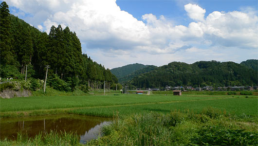 村上市中継の川内神社周辺の景観
