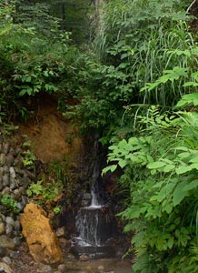 南魚沼市滝谷の滝谷神社境内の滝