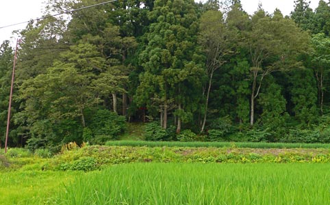 清里村赤池の諏訪神社遠景
