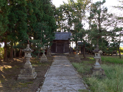 桜林の櫻林神社参道から社殿