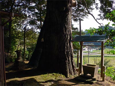 出雲崎町松本の石動神社境内からの眺望