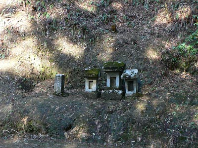 長岡市葎谷の諏訪神社境内石祠