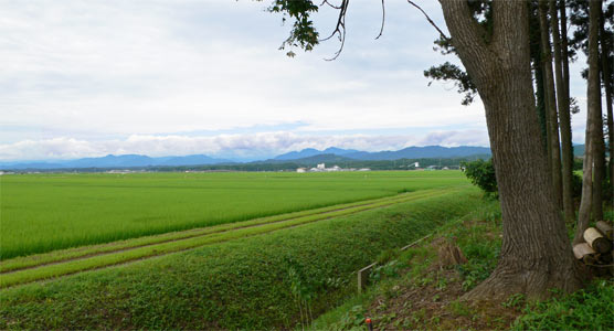 村上市牛屋の日吉神社からの眺望