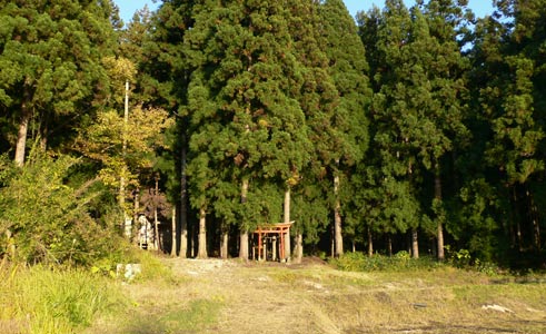 旧下田村院内の白山神社遠景