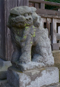栃尾表町の諏訪神社狛犬（阿）