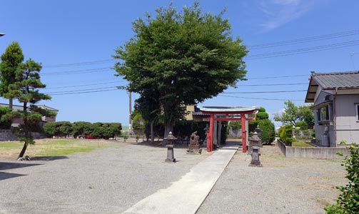 紫雲寺町大中島の諏訪神社境内