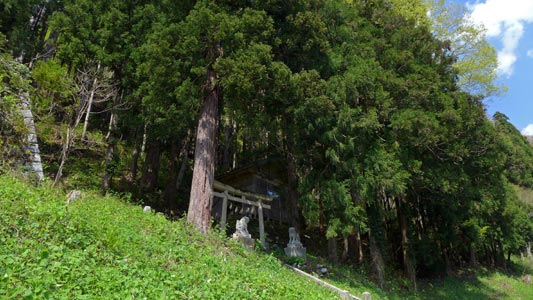 実川島の山神社遠景