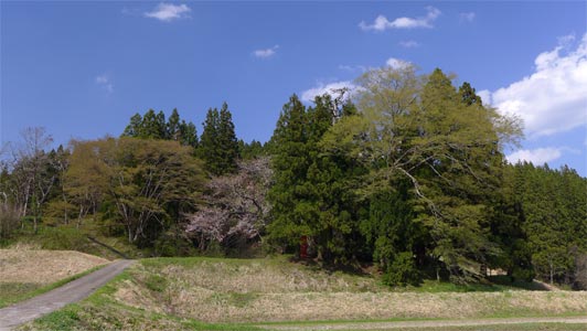 新渡の菅原神社