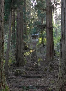 菱潟の二荒山神社参道から社殿を見る