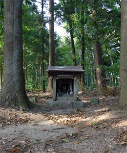 阿賀野市女堂の神明社境内の石祠