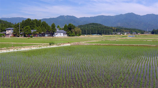 阿賀野市上小中山の山神社社頭からの眺望