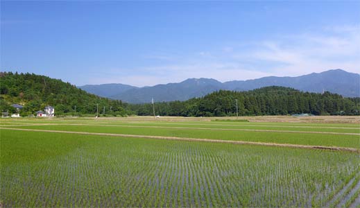 阿賀野市上山田の諏訪神社からの眺望
