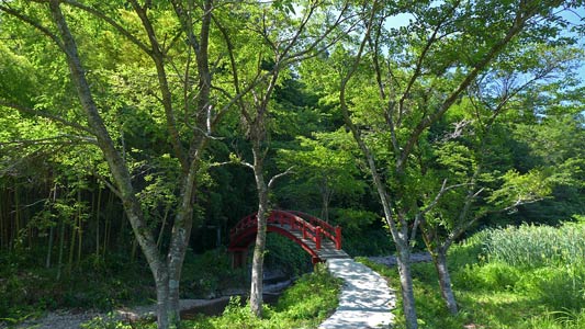 山熊田浅間神社の太鼓橋