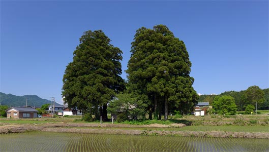 関川村若山の山神社遠景