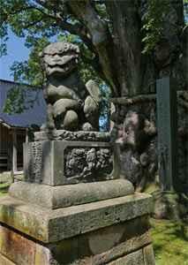 新道の鵜川神社境内狛犬と大欅