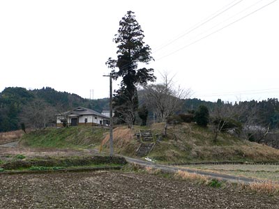 大分市端登の鶴神社