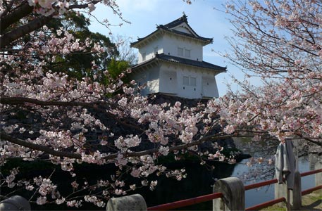 桜の府内城