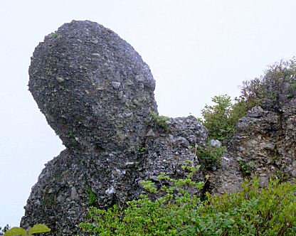 地蔵岳付近の怪石