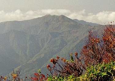 浅草岳から守門岳を見る